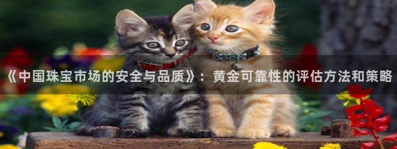 西安天宏娱乐团:《中国珠宝市场的安全与品质》:黄金可靠性的评