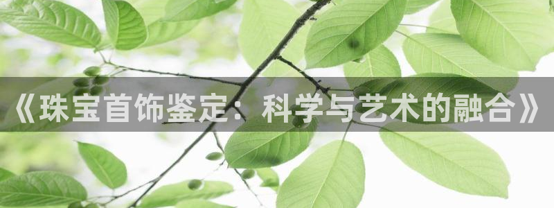 天宏娱乐石叔是谁:《珠宝首饰鉴定:科学与艺术的融合》