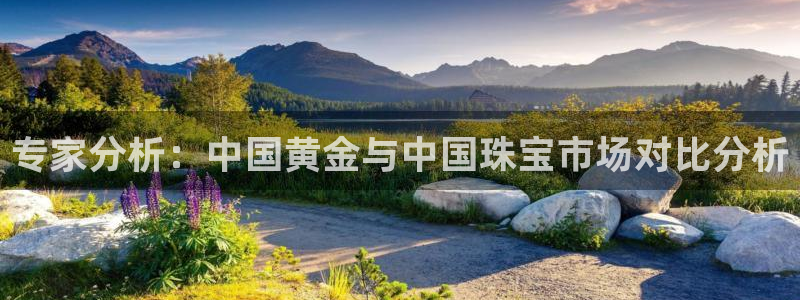 天宏娱乐e OO判官:专家分析:中国黄金与中国珠宝市场对比分